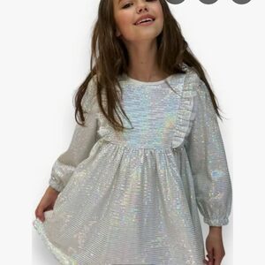 Shimmering Silver Sequin Dress New